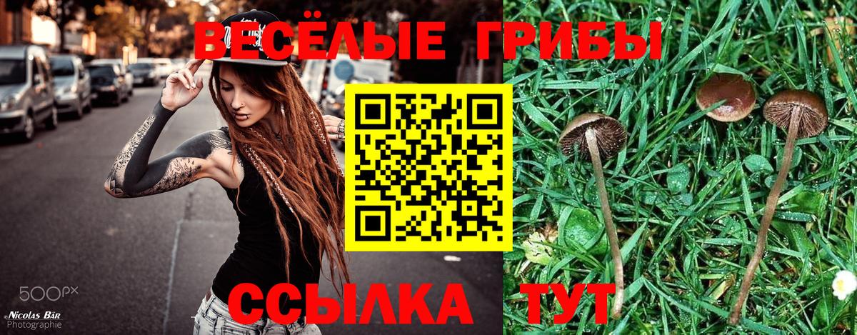 Пугачёв  Галлюциногенные грибы GOLDEN TEACHER  Вход с VPN 