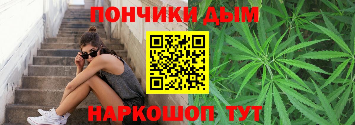 Бошки Шишки гибрид  МАРИХУАНА AK-47  Пугачёв  Вход с VPN  МАРИХУАНА MAZAR 